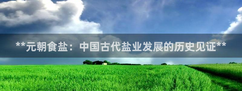 保定威九网络科技有限公司怎么样