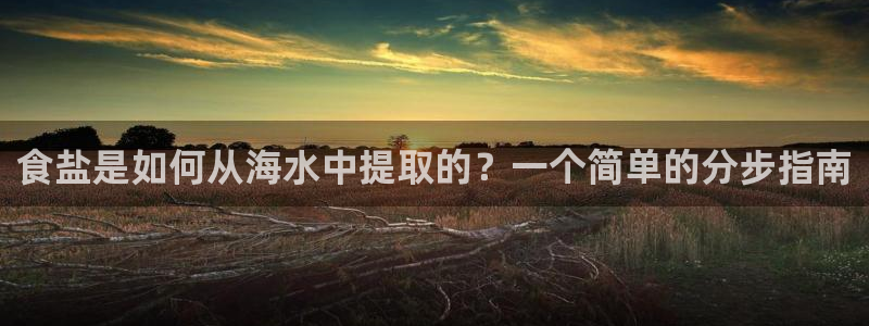 威九国际v9