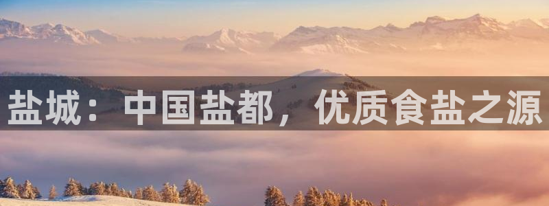 威九国际免费网络站