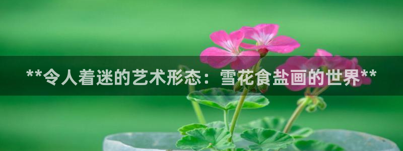 威九国际电影HD