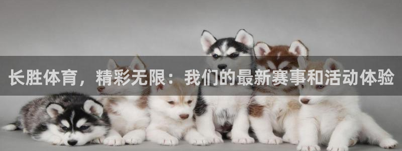 米兰体育app下载：长胜体育，精彩无限：我们的最新赛事和活动体验