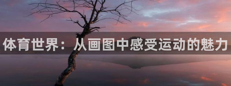 米兰体育怎么样：体育世界：从画图中感受运动的魅力