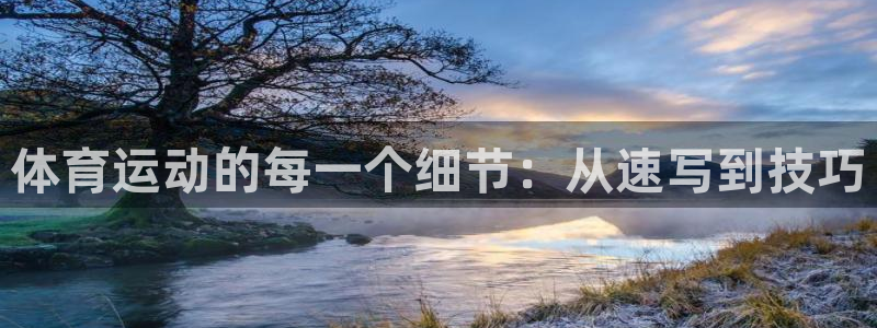 米兰体育最新版下载：体育运动的每一个细节：从速写到技巧