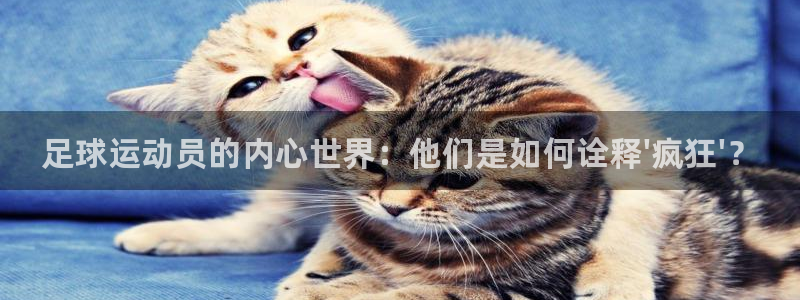 米兰体育官方下载入口：足球运动员的内心世界：他们是如何诠释\'疯狂\'？