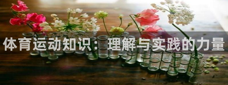 米兰体育网址：体育运动知识：理解与实践的力量