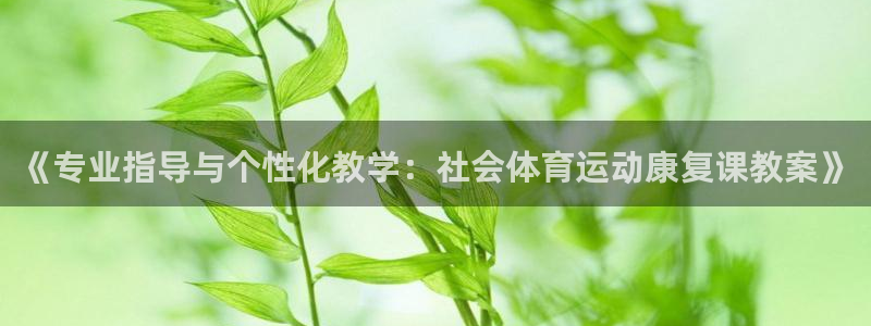 米兰体育最新版下载：《专业指导与个性化教学：社会体育运动康复课教案》