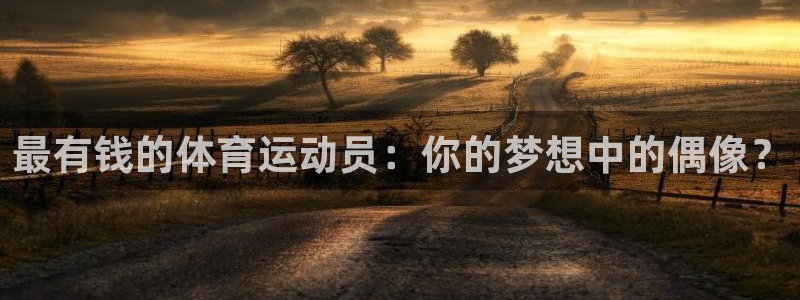 米兰体育网站